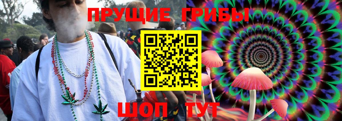Калач-на-Дону  Галлюциногенные грибы Psilocybine cubensis  Вход с VPN 